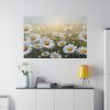 82227-131.jpg Blooming Daisy Field Standard Canvas