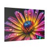 82227-132.jpg Spanish Daisy Standard Canvas