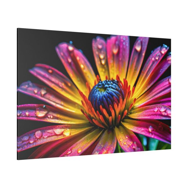 82227-132.jpg Spanish Daisy Standard Canvas