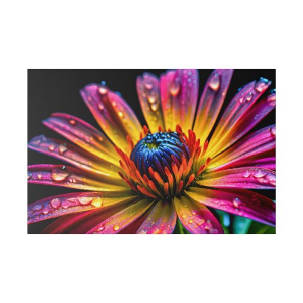 82227-133.jpg Spanish Daisy Standard Canvas