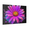 82227-136.jpg Colorful Daisy Standard Canvas