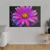 82227-138.jpg Colorful Daisy Standard Canvas