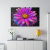 82227-139.jpg Colorful Daisy Standard Canvas