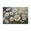 82227-141.jpg Daisy Flower Meadow Standard Canvas