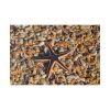 82227-177.jpg Starfish And Shells Standard Canvas