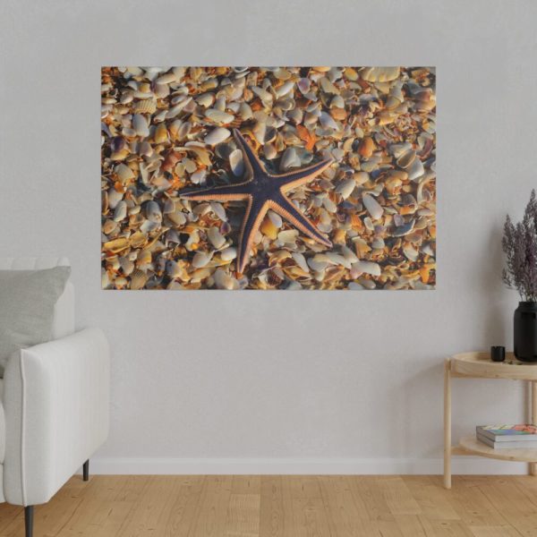 82227-178.jpg Starfish And Shells Standard Canvas