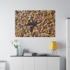 82227-179.jpg Starfish And Shells Standard Canvas