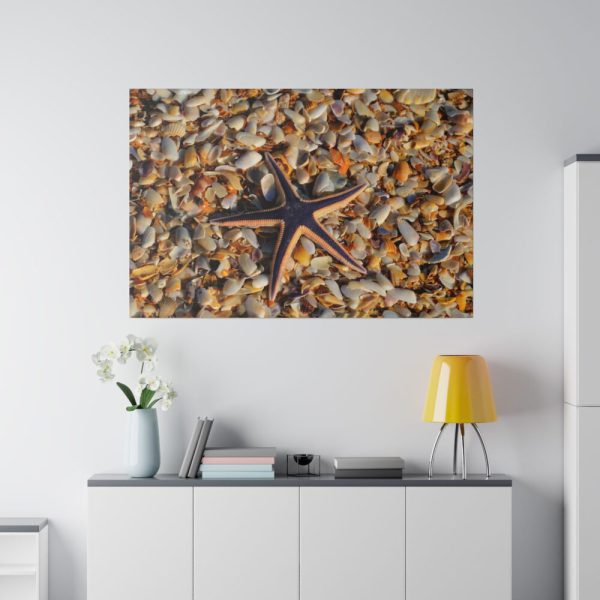 82227-179.jpg Starfish And Shells Standard Canvas