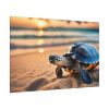 82227-188.jpg Marine Turtle Beach Sea Standard Canvas
