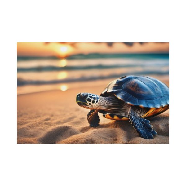 82227-189.jpg Marine Turtle Beach Sea Standard Canvas