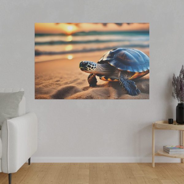 82227-190.jpg Marine Turtle Beach Sea Standard Canvas