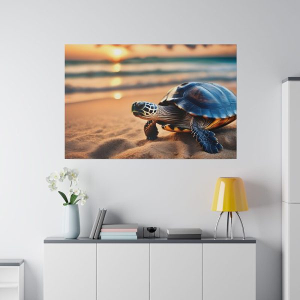 82227-191.jpg Marine Turtle Beach Sea Standard Canvas