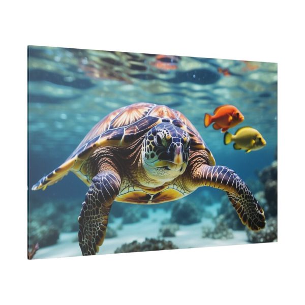 82227-192.jpg Swimming Sea Turtle Standard Canvas
