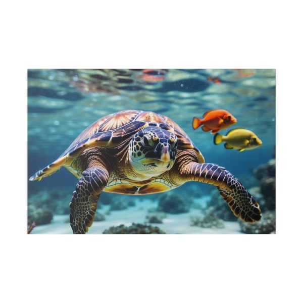 82227-193.jpg Swimming Sea Turtle Standard Canvas