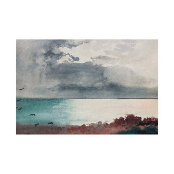 82227-57.jpg Breaking Storm, Coast of Maine Standard Canvas