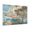 82227-72.jpg Point Lobos, Carmel Standard Canvas