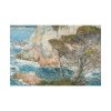 82227-73.jpg Point Lobos, Carmel Standard Canvas