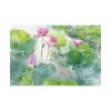 82227-81.jpg Lotus Summer Standard Canvas