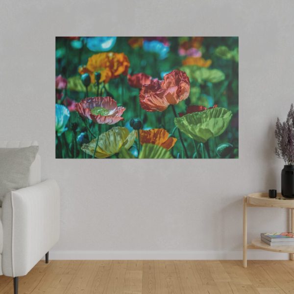 82227-86.jpg Colorful Blooming Poppies Standard Canvas