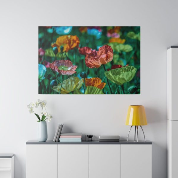 82227-87.jpg Colorful Blooming Poppies Standard Canvas
