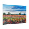 82227-88.jpg Red Poppy Field Standard Canvas
