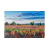 82227-89.jpg Red Poppy Field Standard Canvas