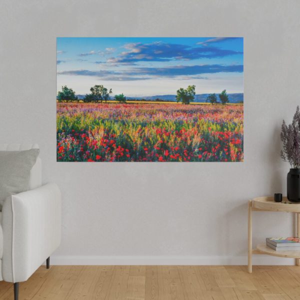 82227-90.jpg Red Poppy Field Standard Canvas