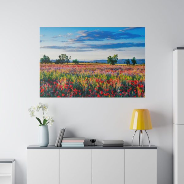 82227-91.jpg Red Poppy Field Standard Canvas