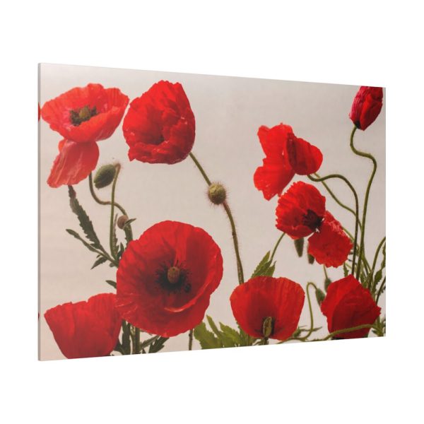 82227-92.jpg Red Poppy Standard Canvas