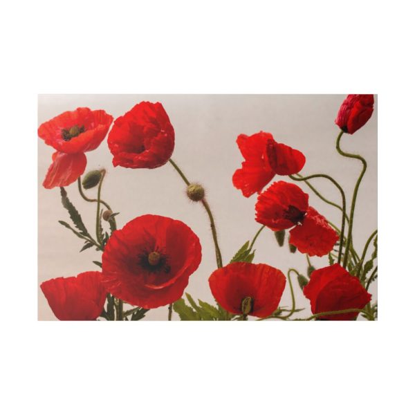 82227-93.jpg Red Poppy Standard Canvas