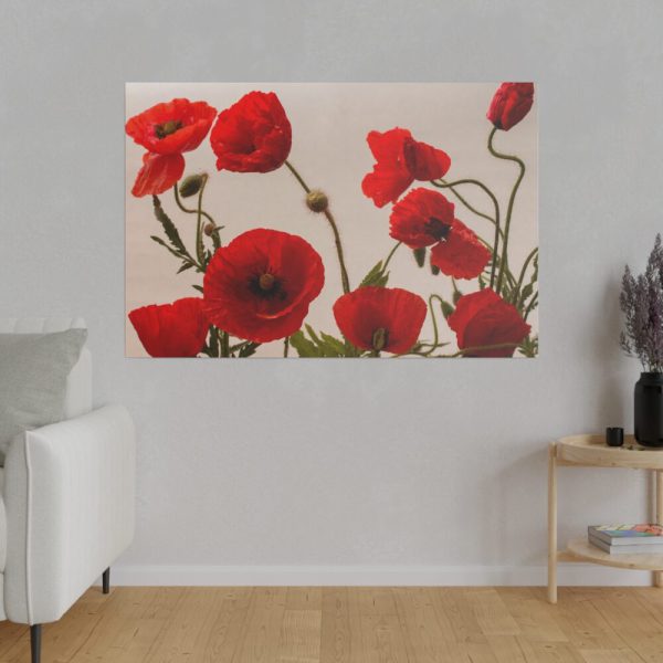 82227-94.jpg Red Poppy Standard Canvas