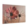 82227-96.jpg Pink Cosmos II Standard Canvas