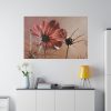 82227-99.jpg Pink Cosmos II Standard Canvas
