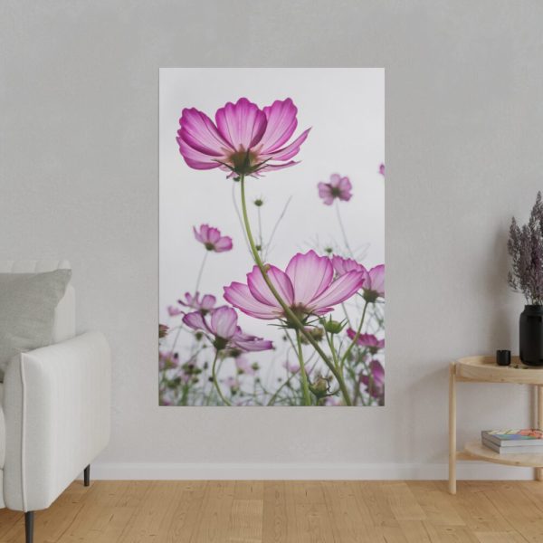 82237-10.jpg Pink Cosmos I Standard Canvas