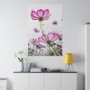 82237-11.jpg Pink Cosmos I Standard Canvas
