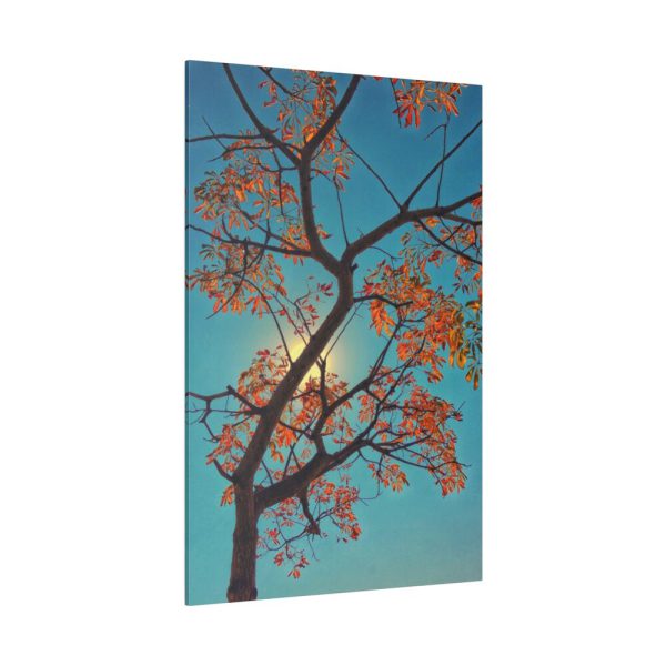82237-12.jpg Autumn Sky Standard Canvas