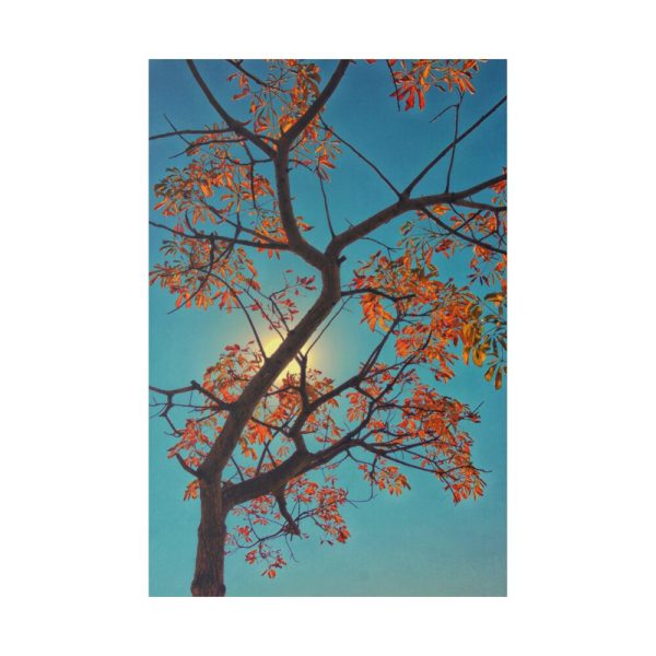 82237-13.jpg Autumn Sky Standard Canvas