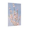 82237-16.jpg Plum Branches with blossoms Standard Canvas