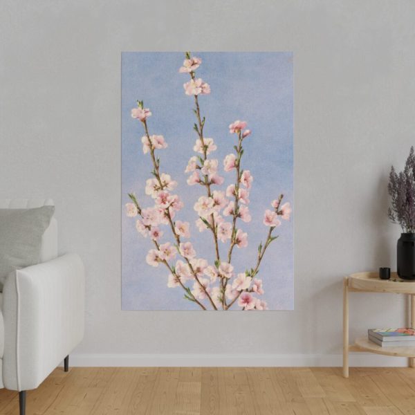 82237-18.jpg Plum Branches with blossoms Standard Canvas