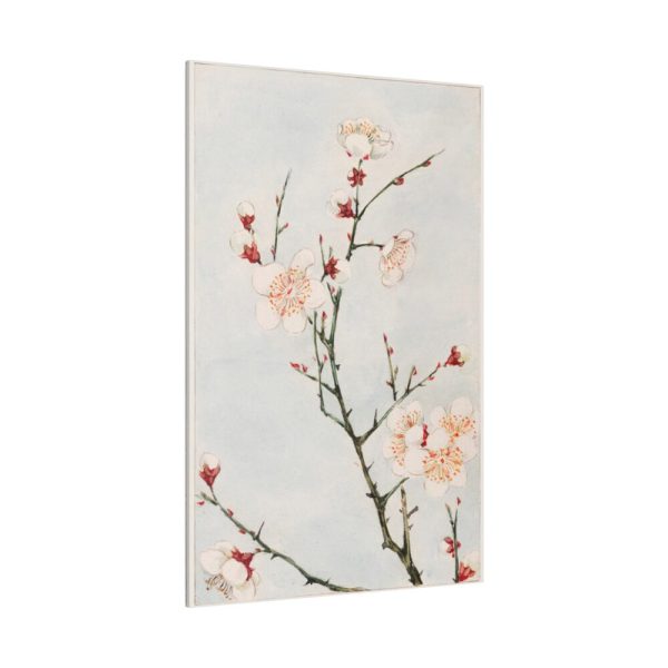 82237-20.jpg Peach Blossoms Standard Canvas