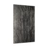 82237-4.jpg Dying Poplar and Live Branch Standard Canvas