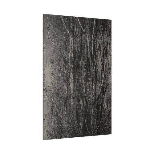 Dying Poplar and Live Branch Standard Canvas