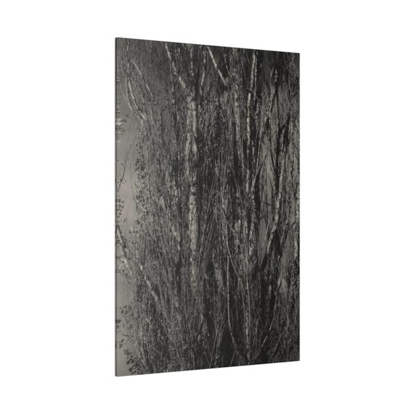 82237-4.jpg Dying Poplar and Live Branch Standard Canvas
