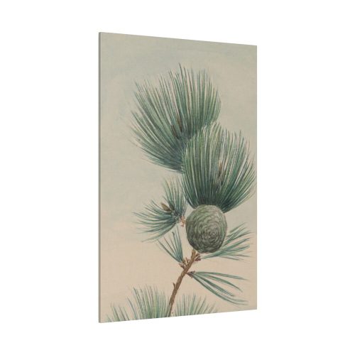 Wild Plant Standard Canvas
