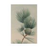 82237-49.jpg Wild Plant Standard Canvas