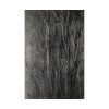 82237-5.jpg Dying Poplar and Live Branch Standard Canvas