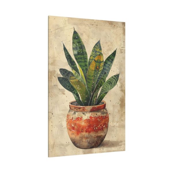 82237-52.jpg Snake Plant In Pot Art Standard Canvas