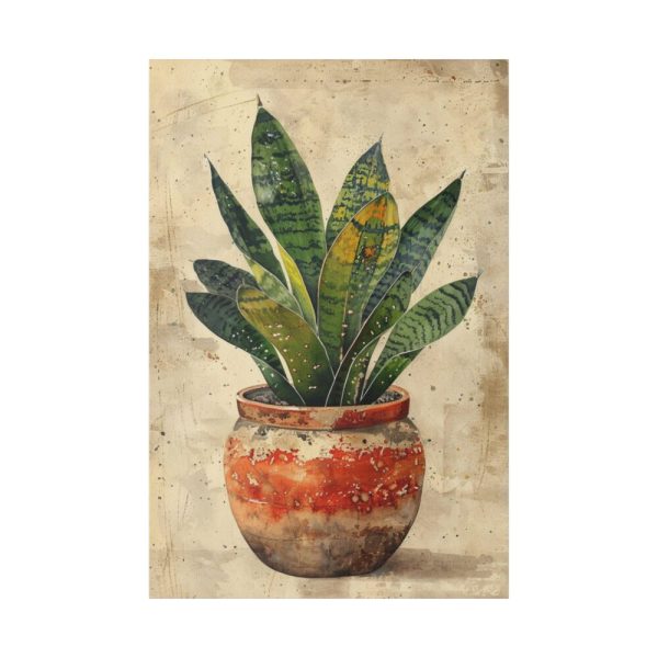 82237-53.jpg Snake Plant In Pot Art Standard Canvas