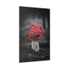 82237-57.jpg Amanita Muscaria Standard Canvas