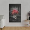 82237-58.jpg Amanita Muscaria Standard Canvas